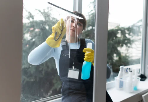Nettoyage de vitres intérieures et extérieures à Troissy